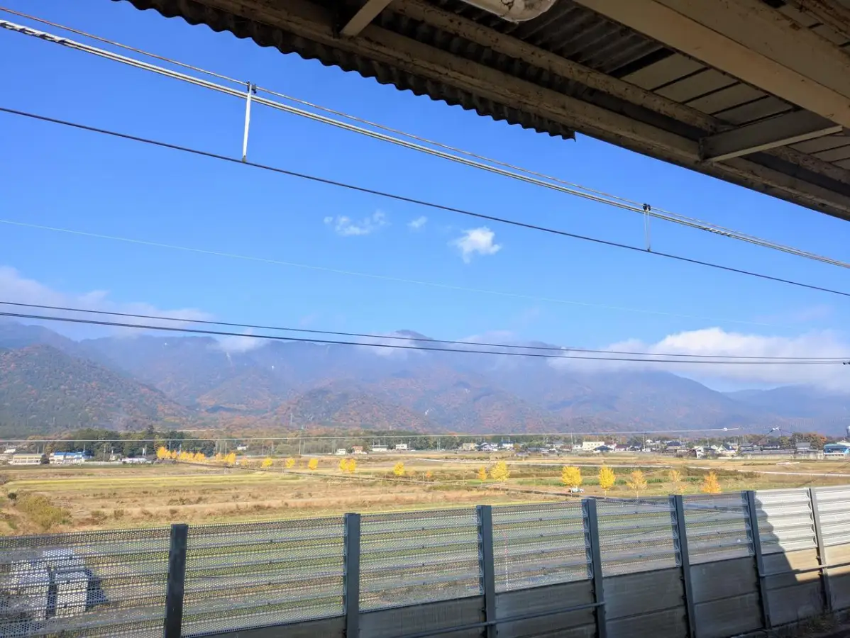 山上的叶子已经全红了